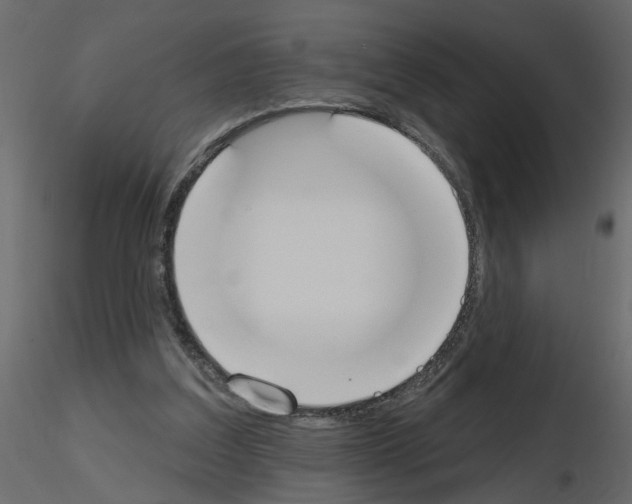 X0000115710203200912241551