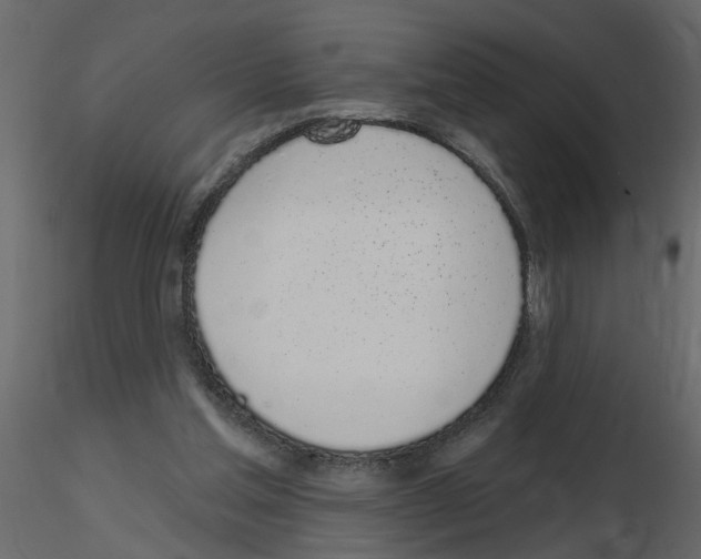 X0000115710205200912241551