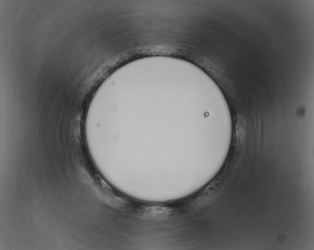 X0000115710206200912241550