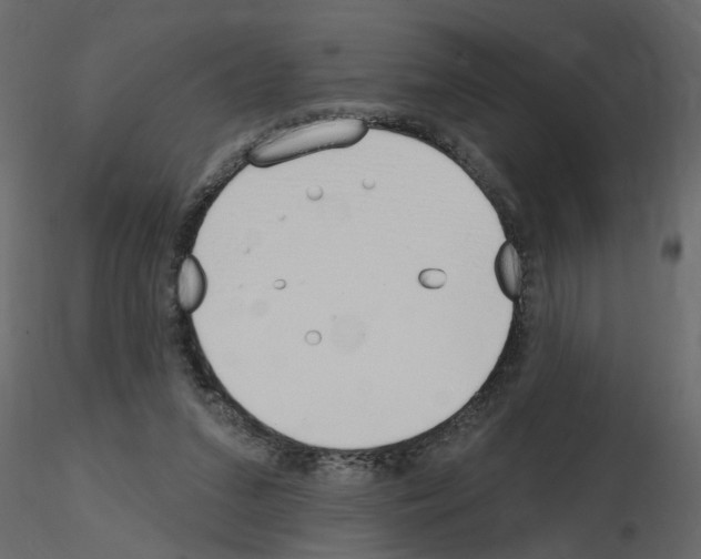 X0000115710207200912241550