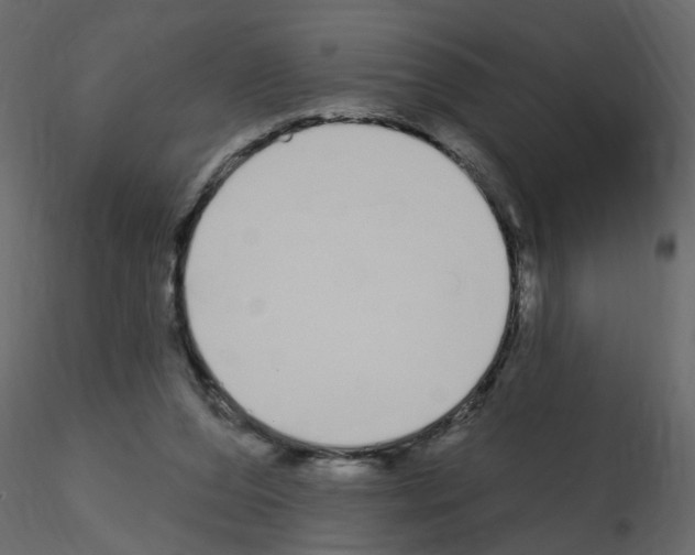 X0000115710208200912241550