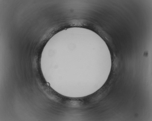 X0000115710209200912241550