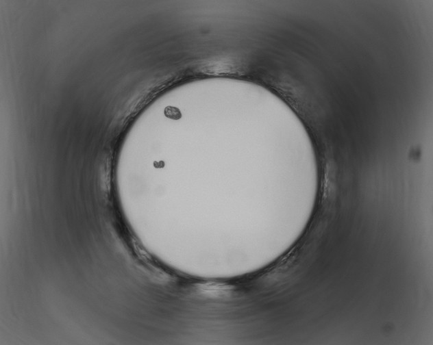 X0000115710210200912241550