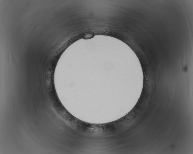 X0000115710211200912241550