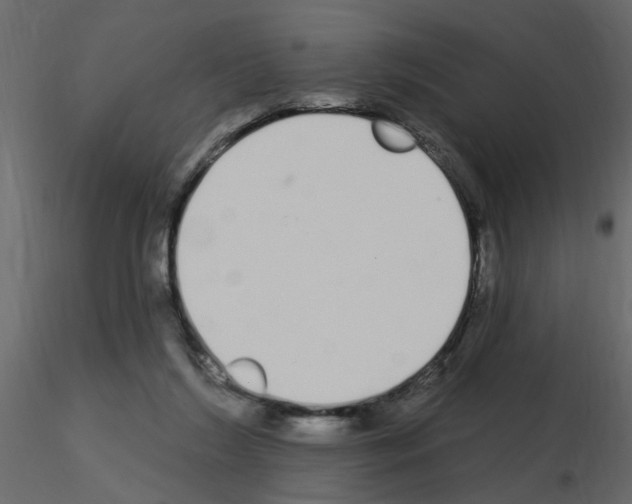 X0000115710212200912241550