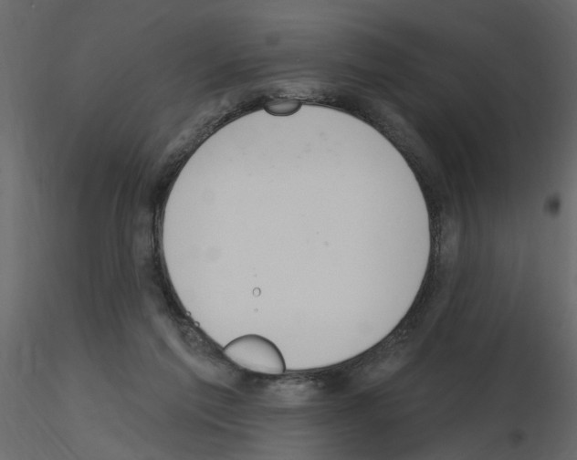 X0000115710213200912241550