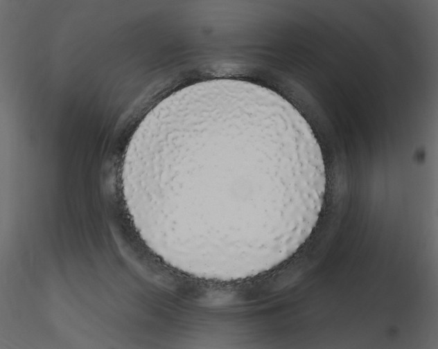 X0000115710214200912241550