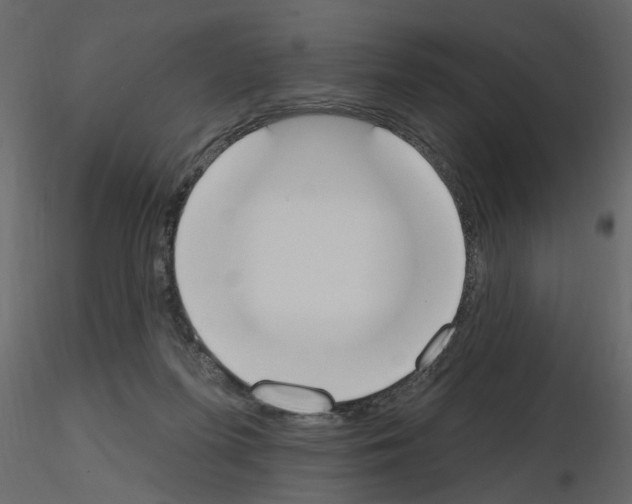 X0000115710215200912241550