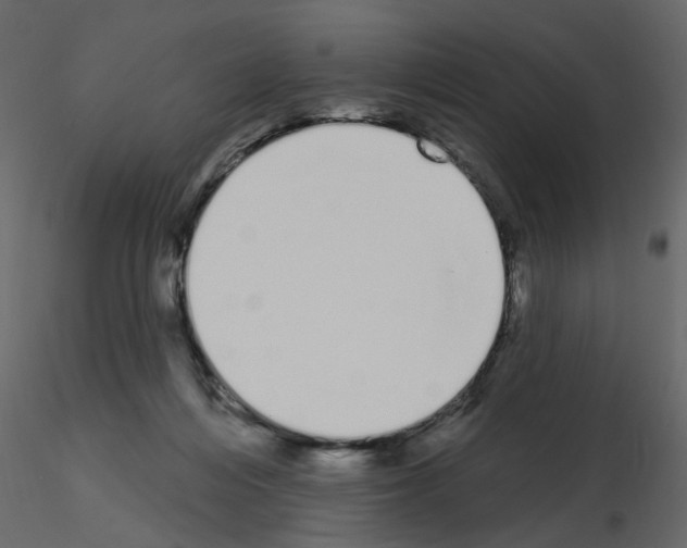 X0000115710216200912241550