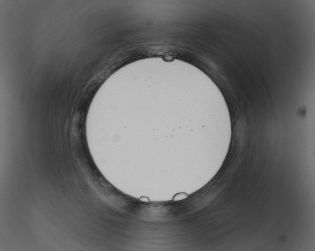 X0000115710217200912241550