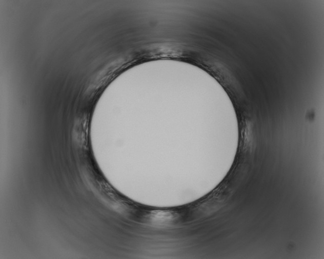 X0000115710218200912241550