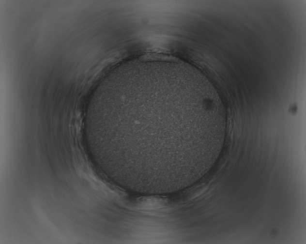 X0000115710223200912241550