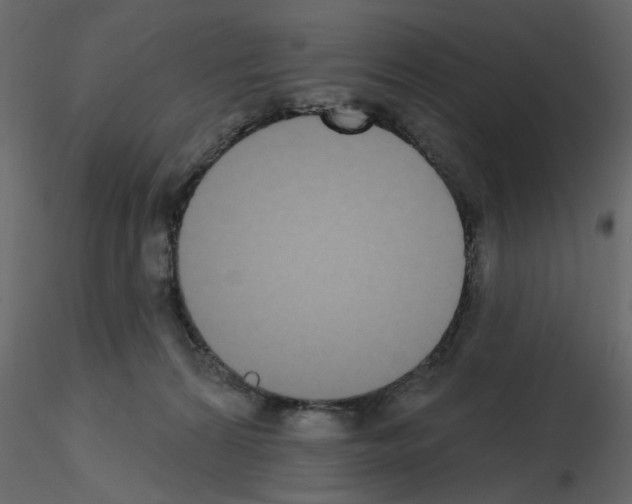 X0000115710224200912241550