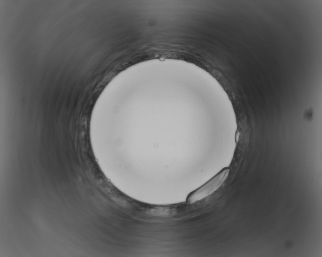 X0000115710225200912241550