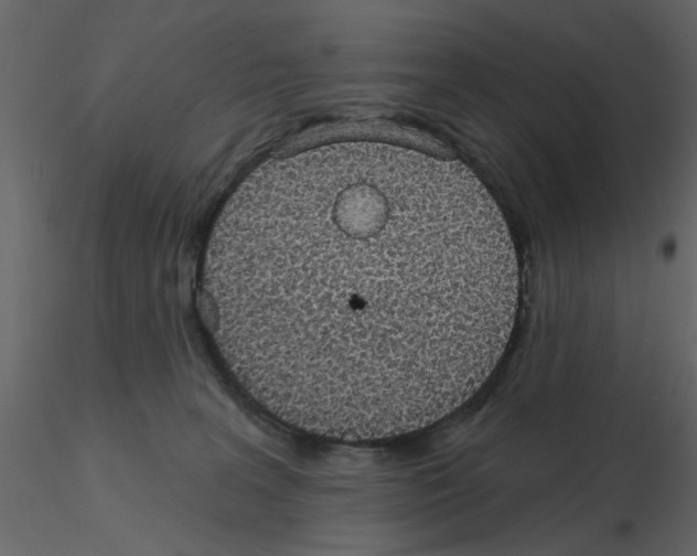 X0000115710227200912241550