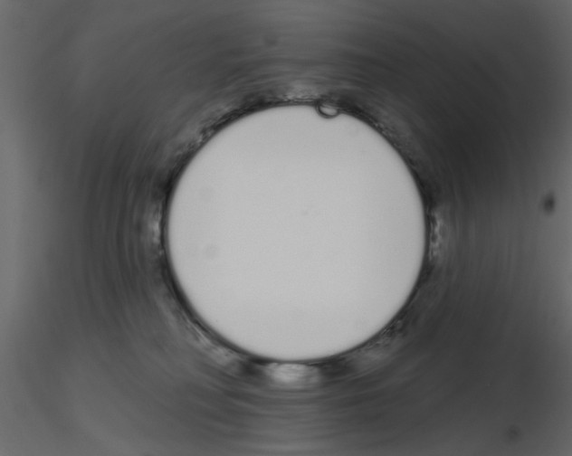 X0000115710230200912241550