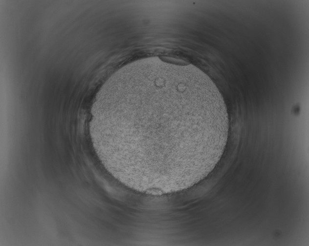 X0000115710231200912241550