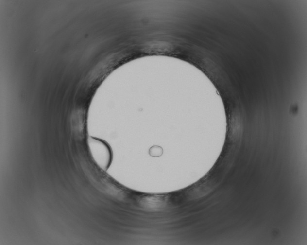 X0000115710232200912241550