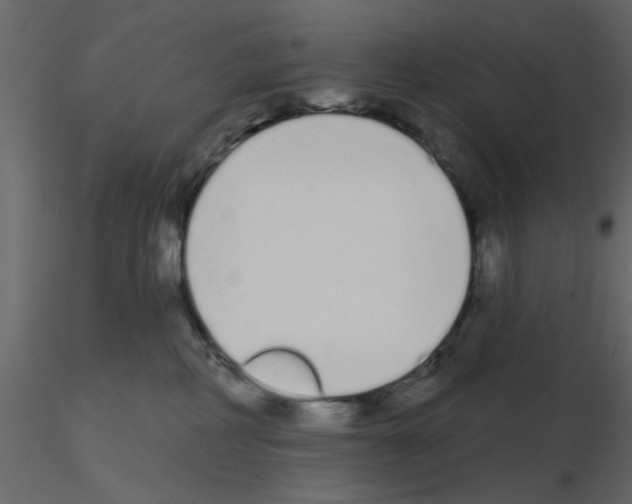 X0000115710234200912241550