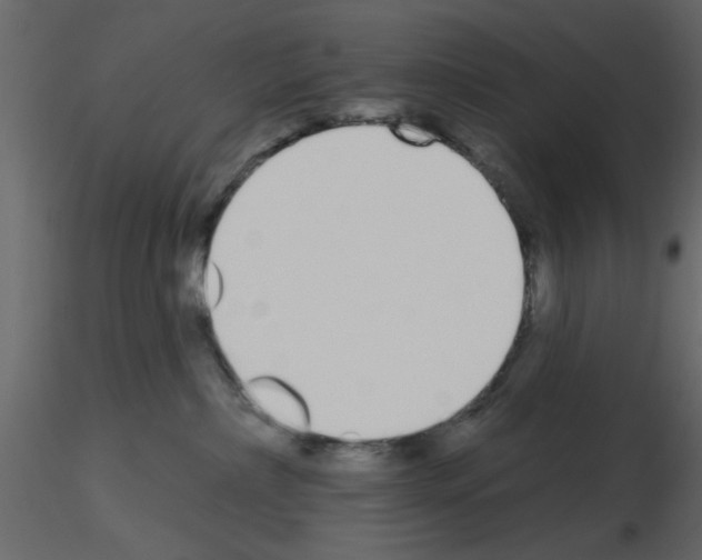 X0000115710236200912241550