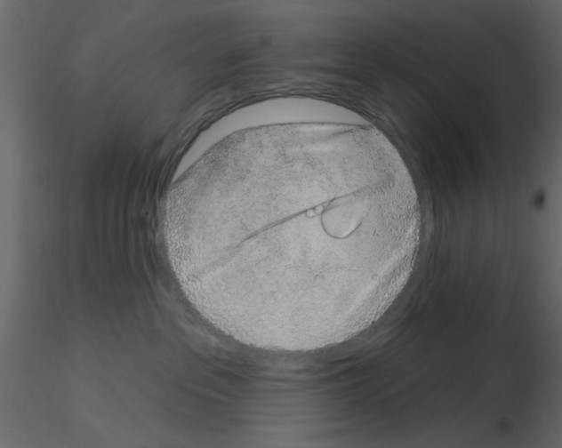 X0000115710237200912241550