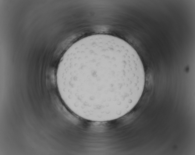 X0000115710238200912241550