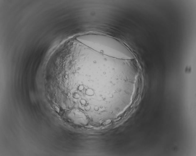 X0000115710241200912241549