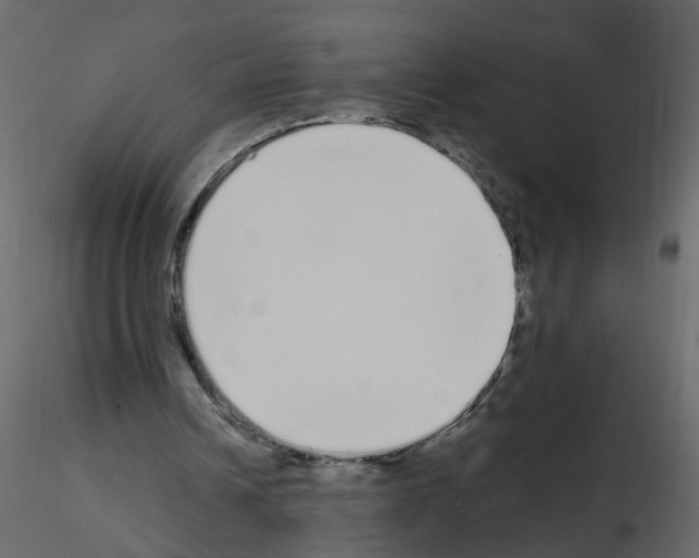 X0000115710242200912241549