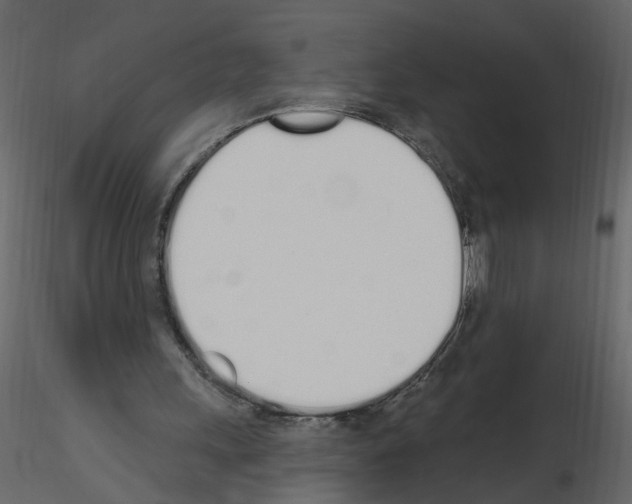 X0000115710243200912241549