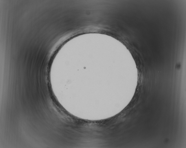 X0000115710244200912241549