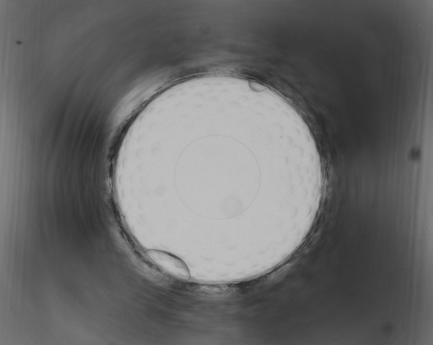 X0000115710245200912241549