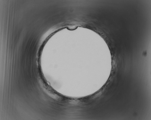 X0000115710246200912241549