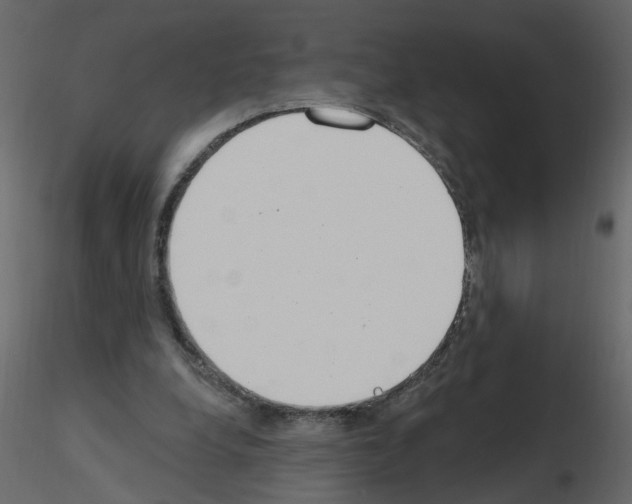 X0000115710248200912241549