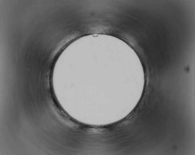 X0000115710250200912241550