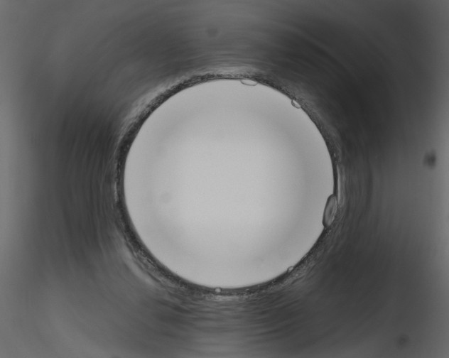 X0000115710252200912241550