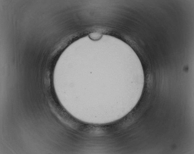 X0000115710254200912241550