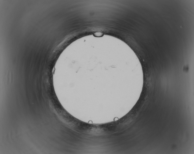 X0000115710256200912241550