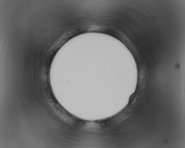 X0000115710257200912241550