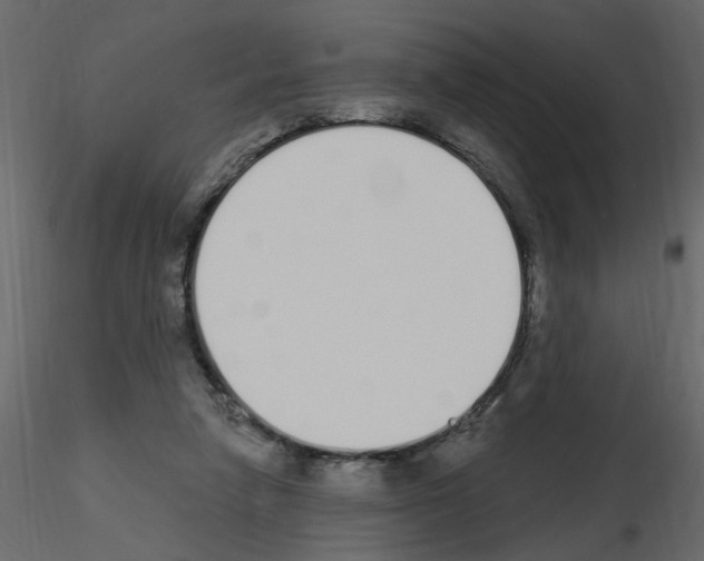 X0000115710258200912241550