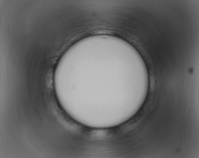 X0000115710259200912241550