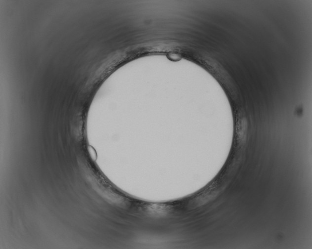 X0000115710261200912241550