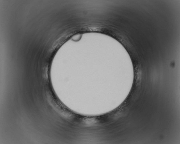 X0000115710262200912241550