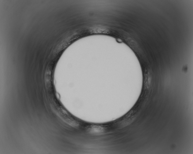 X0000115710263200912241550