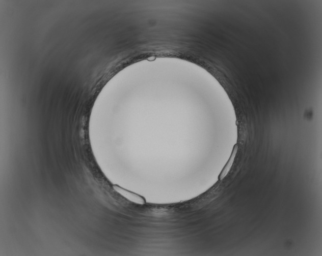 X0000115710264200912241550