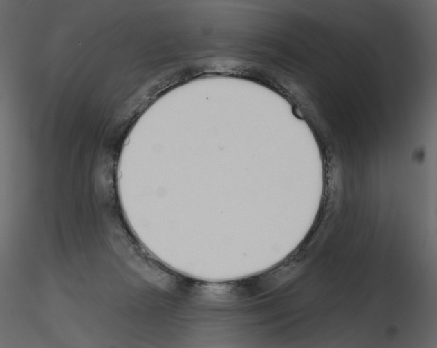 X0000115710265200912241550