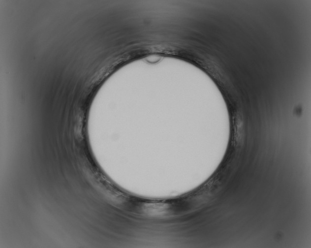 X0000115710266200912241550