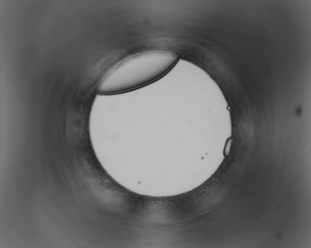 X0000115710268200912241550