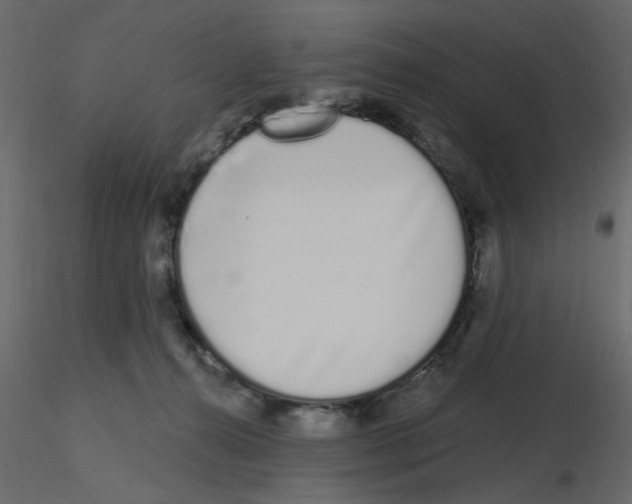 X0000115710272200912241550