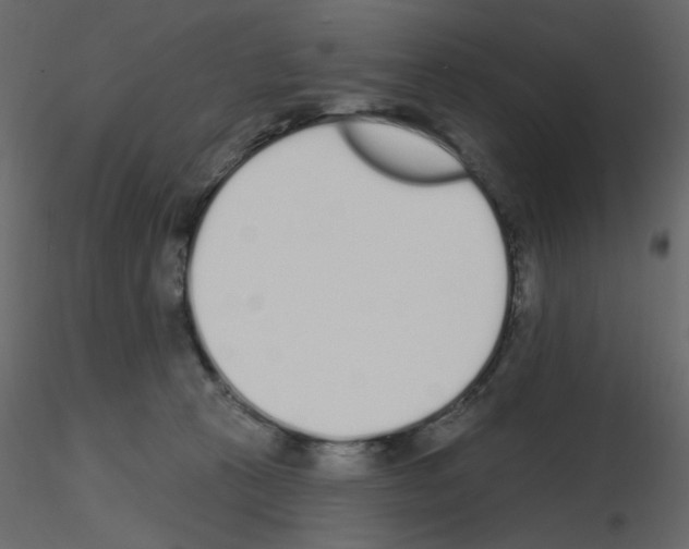 X0000115710273200912241550