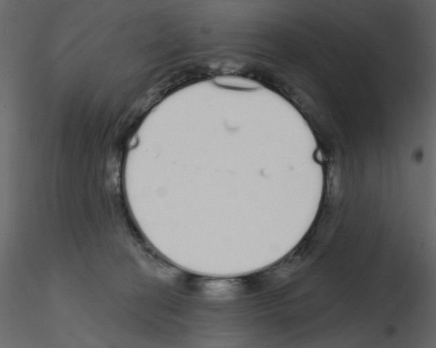 X0000115710274200912241550